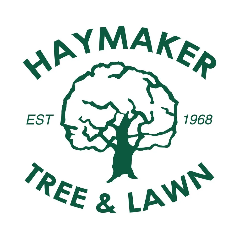 Custom outdoor landscaping experts serving North Canton, OH - Haymaker Tree and Lawn