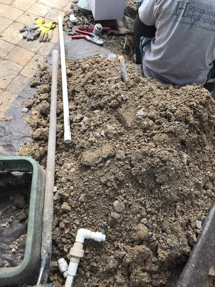 Affordable garden landscaping for homes in Reno, NV by Haymond Horticulture