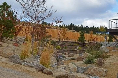 Professional garden landscaping for year-round maintenance in Reno, NV by Haymond Horticulture