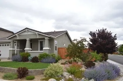 Professional yard cleanup service in Reno, NV - Haymond Horticulture