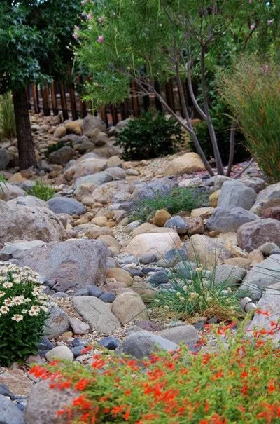 Reliable lawn care service for beautiful yards in Reno, NV by Haymond Horticulture