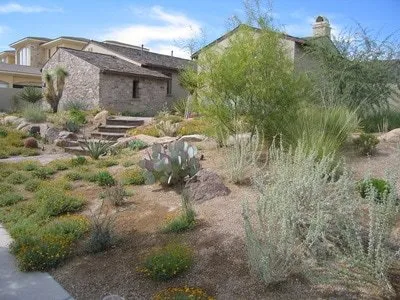 Expert garden landscaping in Reno, NV by Haymond Horticulture