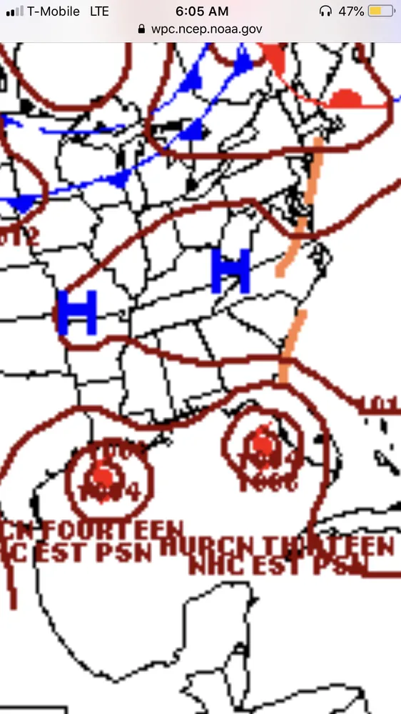 Reliable yard cleanup service in Mobile, AL by Haynes and Sons Lawn Care