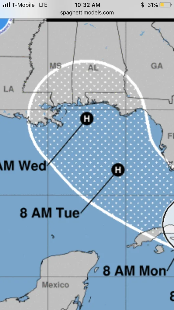 Affordable yard maintenance experts serving Mobile, AL - Haynes and Sons Lawn Care