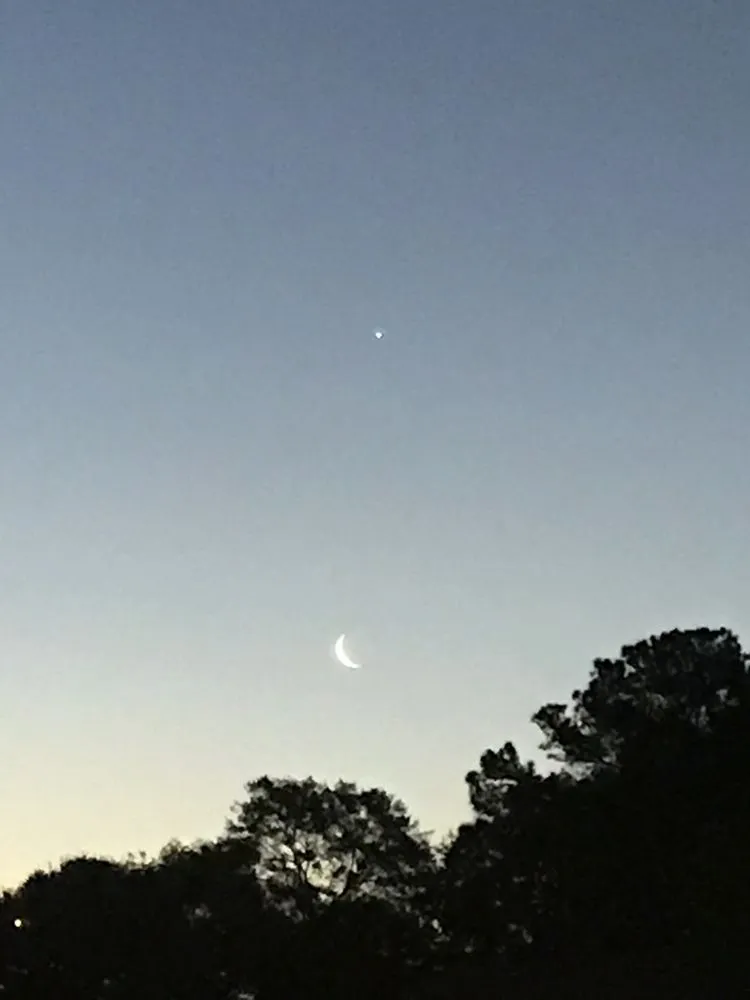 Expert yard cleanup service for outdoor upgrades in Mobile, AL by Haynes and Sons Lawn Care