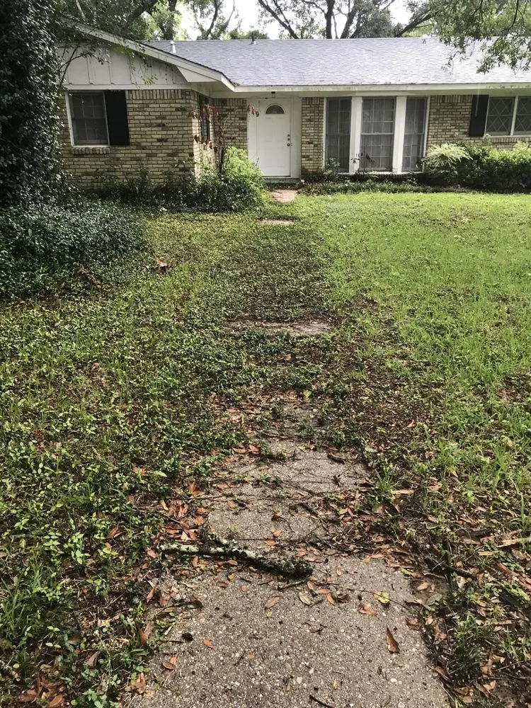 Top-rated lawn care service experts serving Mobile, AL - Haynes and Sons Lawn Care