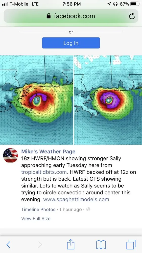 Affordable lawn care service with custom design in Mobile, AL by Haynes and Sons Lawn Care
