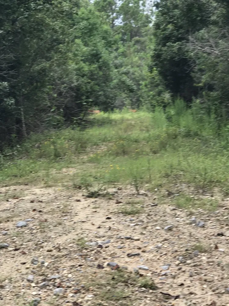 Trusted garden landscaping in Mobile, AL by Haynes and Sons Lawn Care