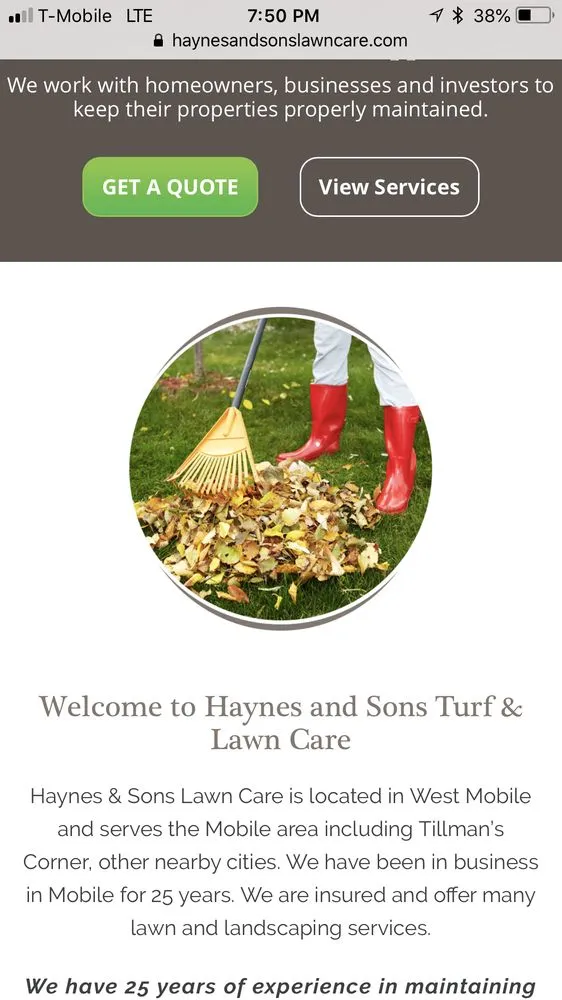 Expert landscape design for year-round maintenance across Mobile, AL - Haynes and Sons Lawn Care