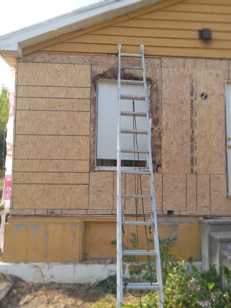 Professional lawn care service experts serving Fairfield, IA - Haynes Contracting