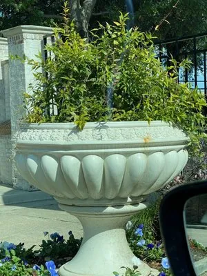 Haynes Landscape & Maintenance