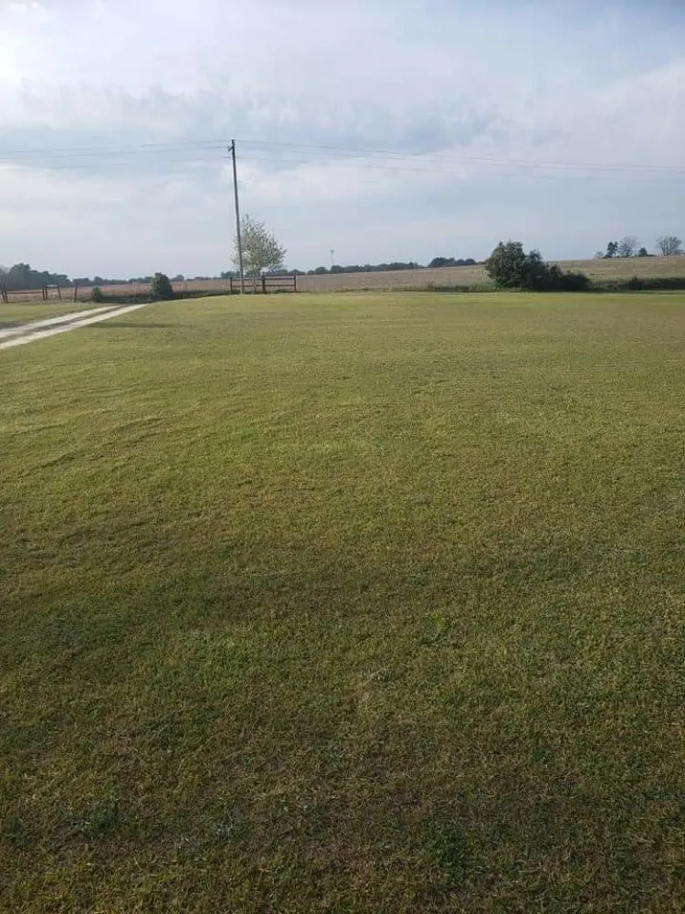 Professional landscape design in Gaston, SC - Haynes Lawn Care