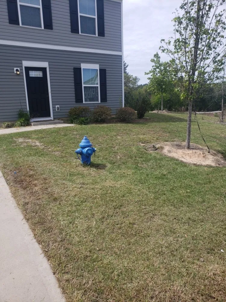 Reliable landscape design experts serving Gaston, SC - Haynes Lawn Care