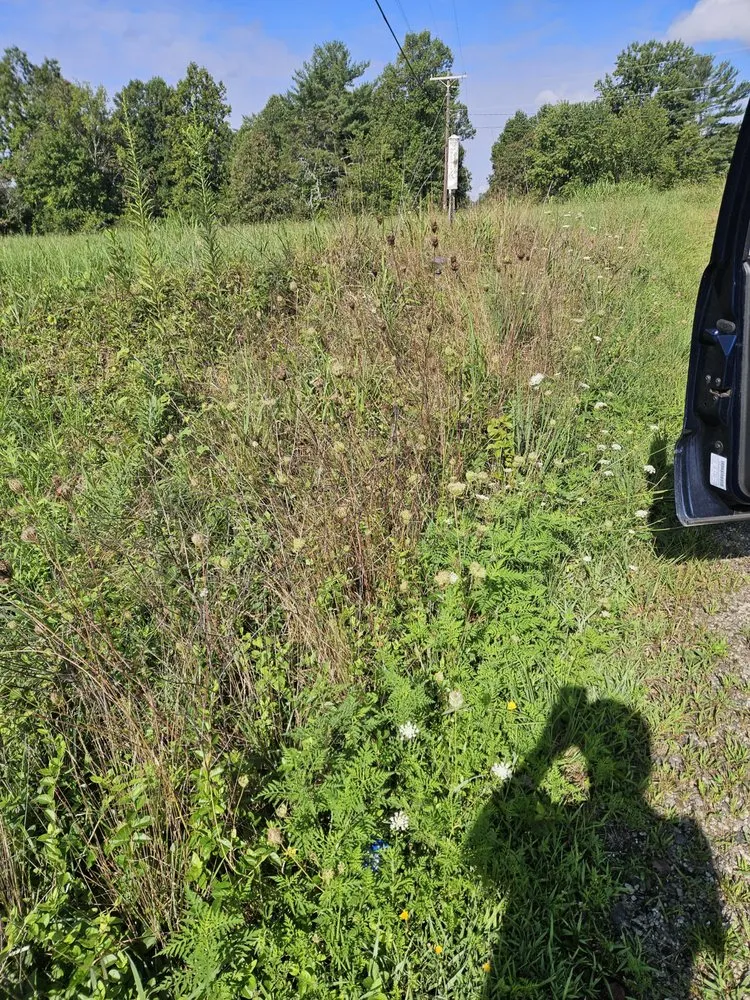 Trusted landscaping services with custom design across North Wilkesboro, NC - Haynes Lawn Care Inc.