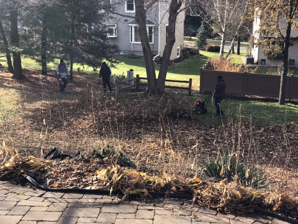 Trusted outdoor landscaping experts serving Madison, WI - Haynes Lawn Care