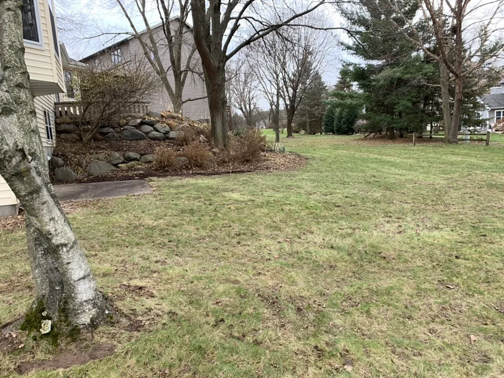 Affordable landscaping services for outdoor upgrades in Madison, WI by Haynes Lawn Care