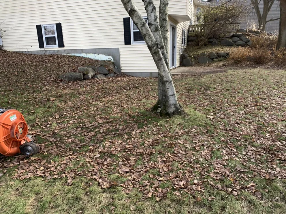 Custom garden landscaping for outdoor upgrades in Madison, WI by Haynes Lawn Care