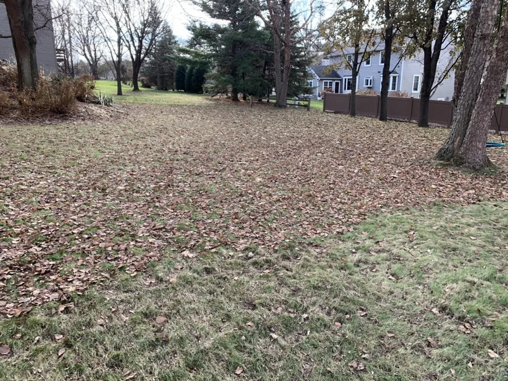 Expert lawn mowing service for beautiful yards in Madison, WI by Haynes Lawn Care