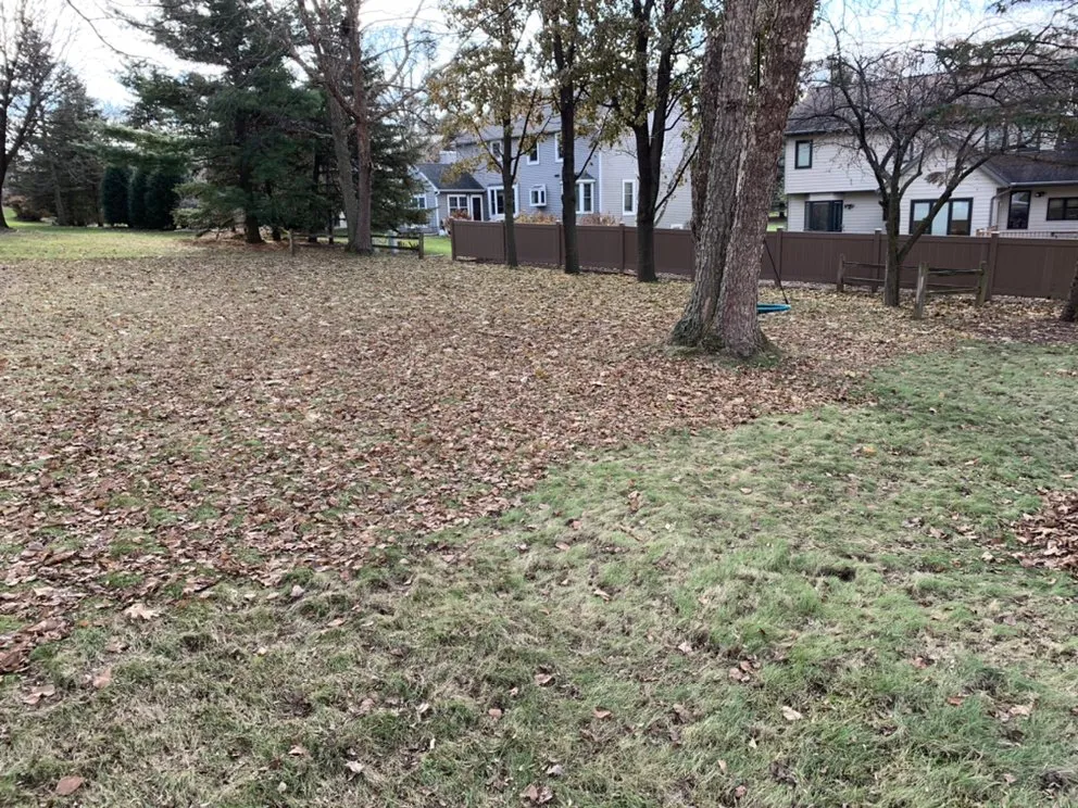 Professional yard cleanup service in Madison, WI by Haynes Lawn Care