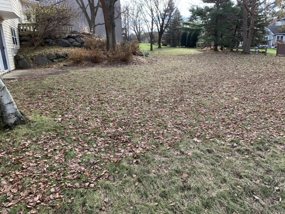 Local yard maintenance for year-round maintenance across Madison, WI - Haynes Lawn Care