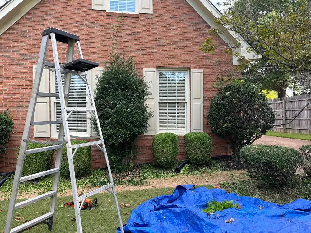 Local lawn mowing service for beautiful yards in Brownsville, TN by Haynes Property Management and Landscaping