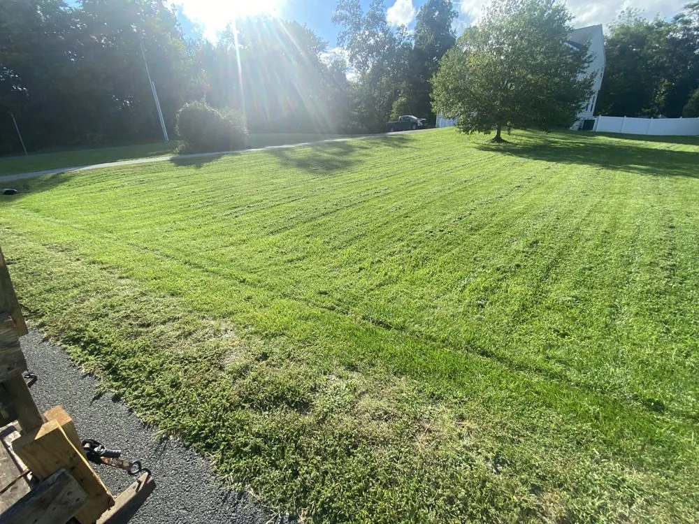 Trusted yard cleanup service in Shepherdstown, WV by Haynes Service