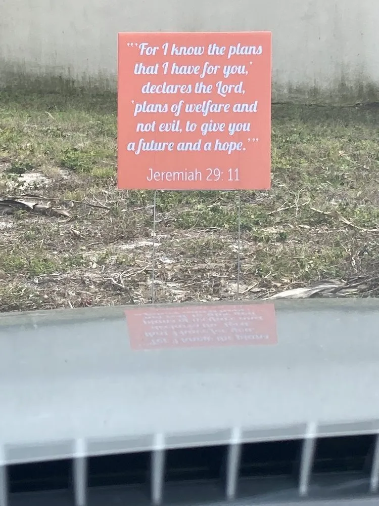 Reliable landscape design experts serving Largo, FL - Haynor's Garden Design