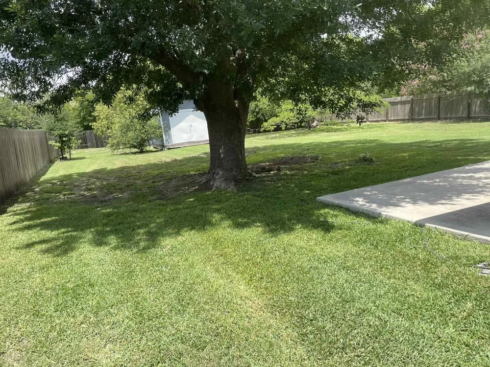 Affordable landscape installation with custom design across Kyle, TX - Hays County Landscaping