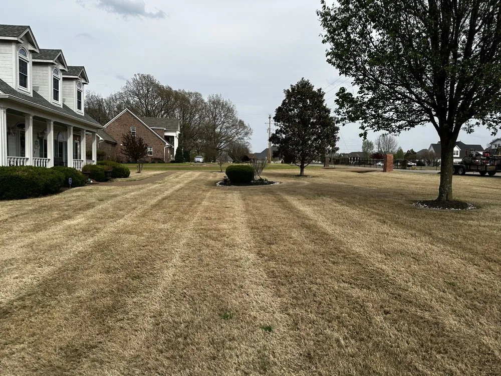 Top-rated garden landscaping near you across Jackson, TN - Hays Landscape Solutions