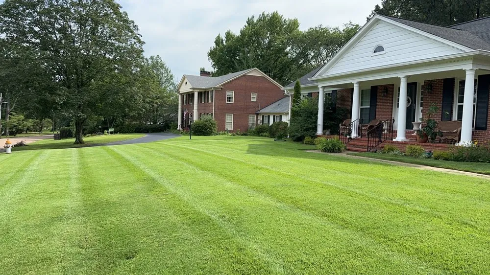 Expert lawn care service for outdoor upgrades across Jackson, TN - Hays Landscape Solutions
