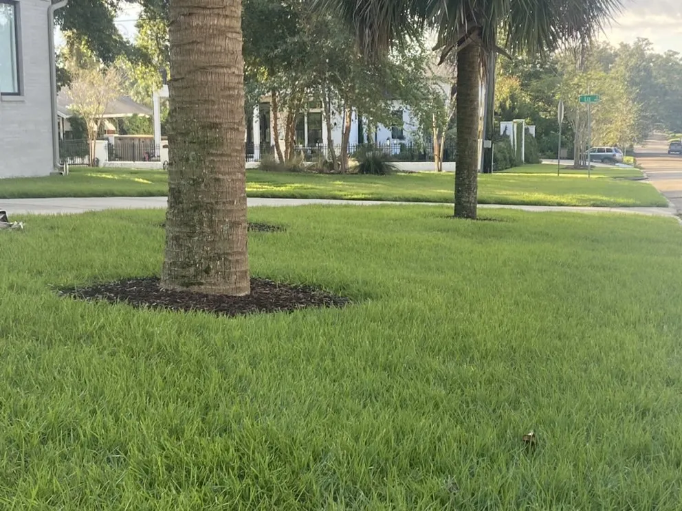 Reliable lawn mowing service experts serving Pensacola, FL - Hays Lawn