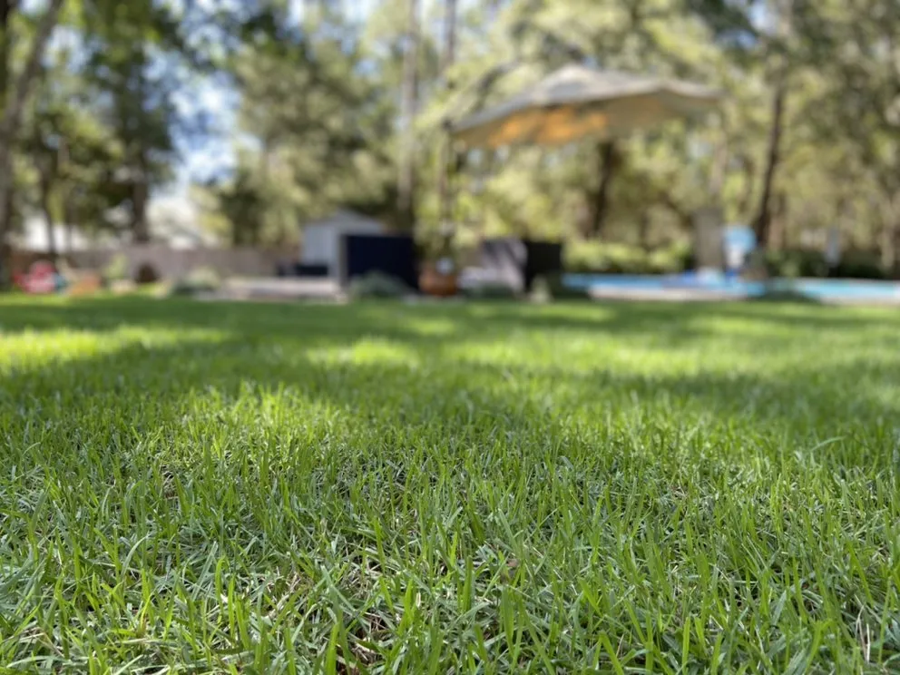 Expert landscaping services for year-round maintenance across Pensacola, FL - Hays Lawn