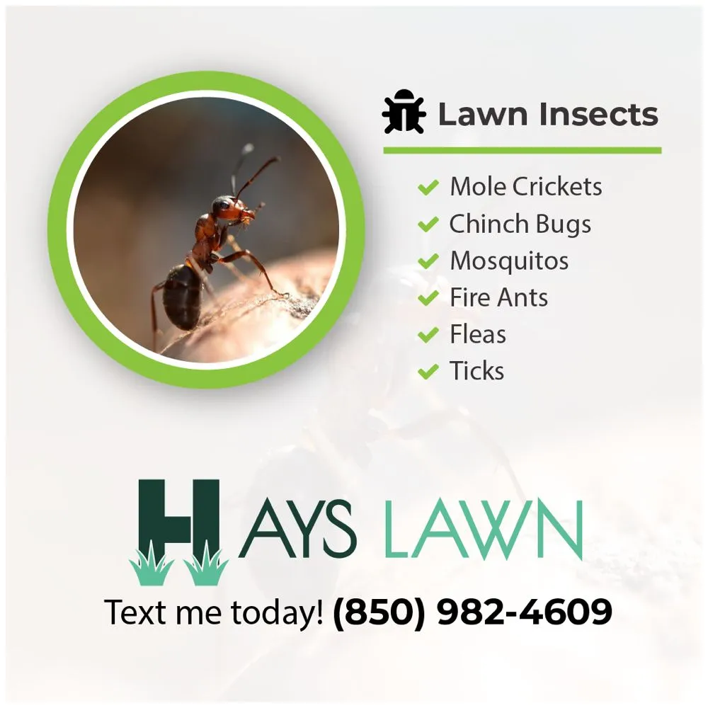 Local lawn care service experts serving Pensacola, FL - Hays Lawn