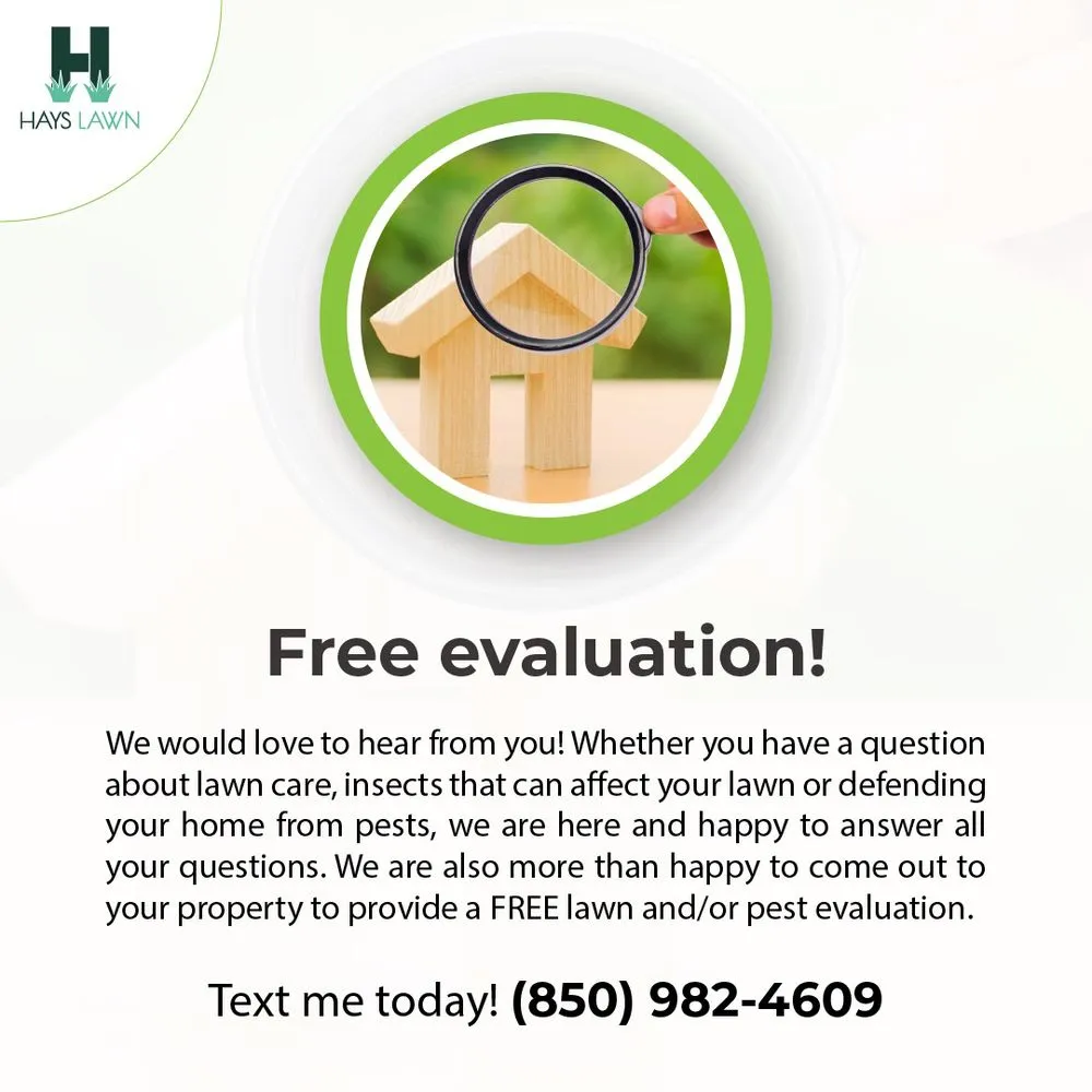 Trusted landscape design in Pensacola, FL - Hays Lawn