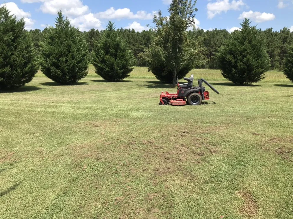 Local lawn mowing service in Sibley, LA by Hays Lawn Service