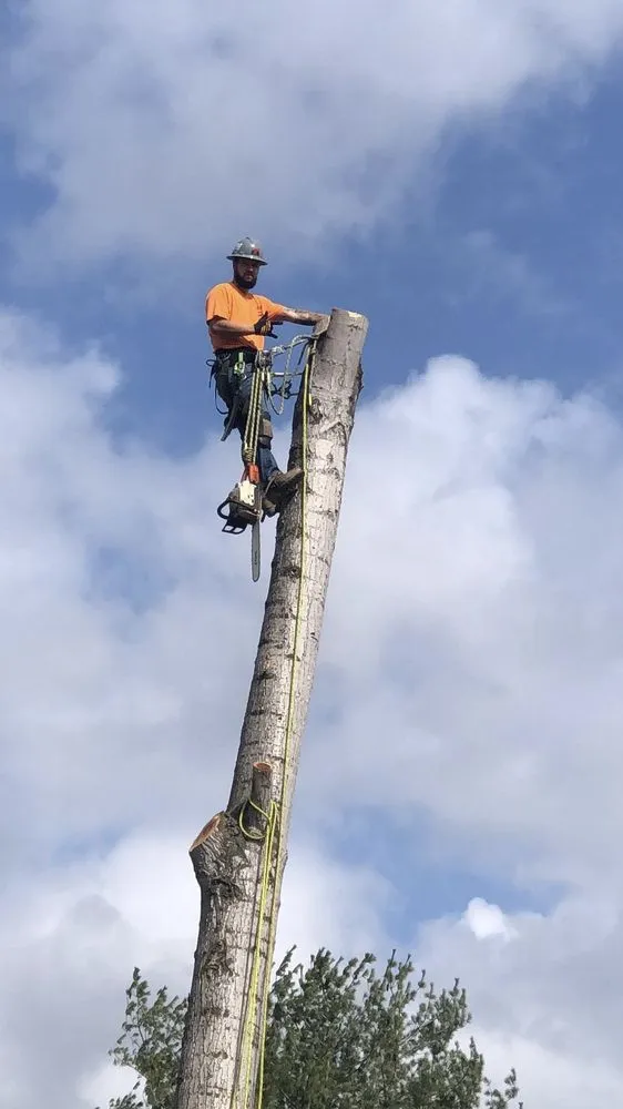 Custom garden landscaping for outdoor upgrades across Jackson, KY - Hays Tree & Landscape