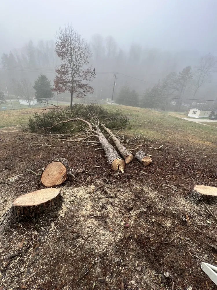 Reliable landscaping services experts serving Jackson, KY - Hays Tree & Landscape