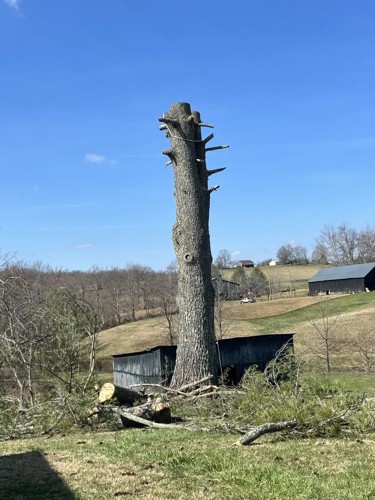 Expert landscape design experts serving Jackson, KY - Hays Tree & Landscape