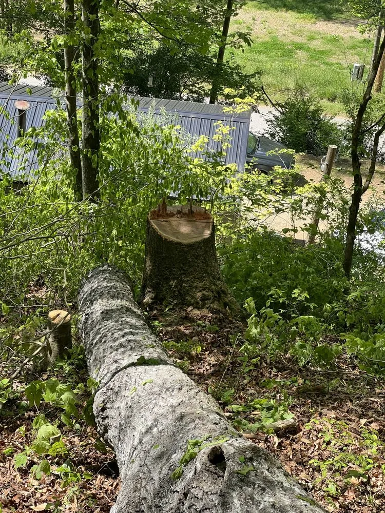 Affordable residential landscaping with custom design in Jackson, KY by Hays Tree & Landscape