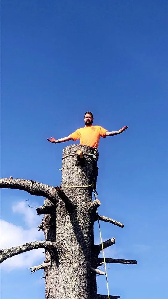 Expert landscape installation with custom design across Jackson, KY - Hays Tree & Landscape