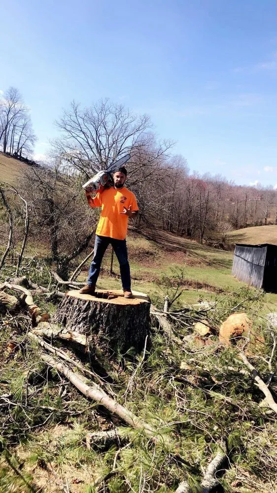 Trusted lawn care service in Jackson, KY by Hays Tree & Landscape