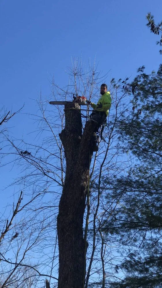 Custom landscape design in Jackson, KY - Hays Tree & Landscape