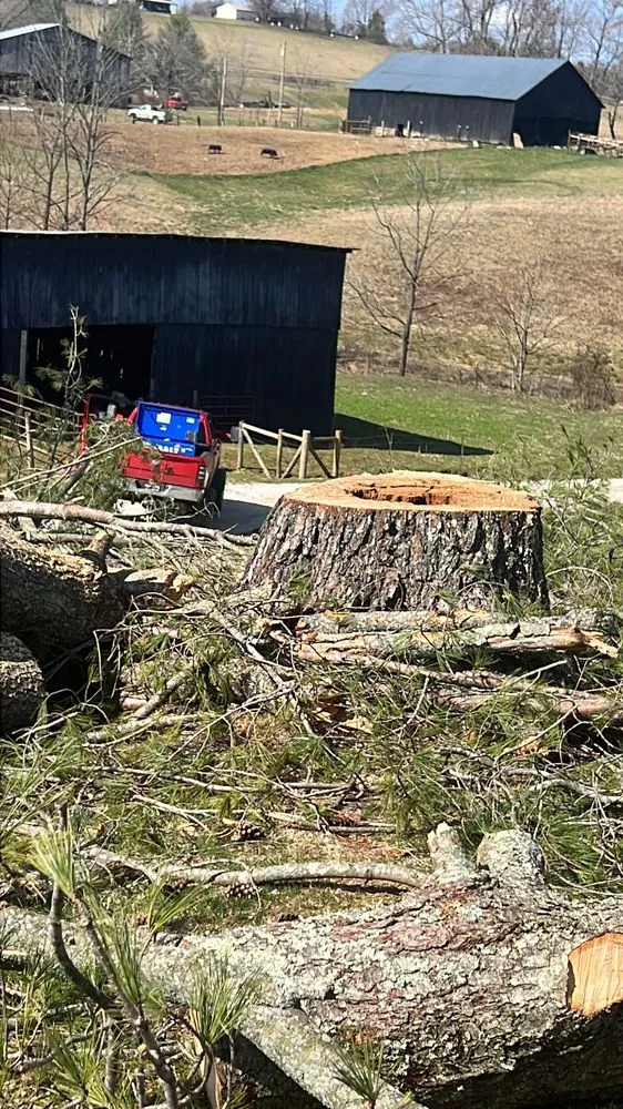 Trusted yard maintenance in Jackson, KY - Hays Tree & Landscape