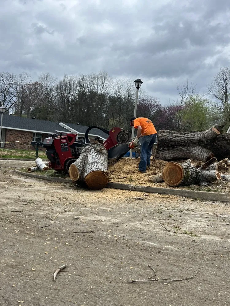 Professional yard maintenance in Jackson, KY - Hays Tree & Landscape