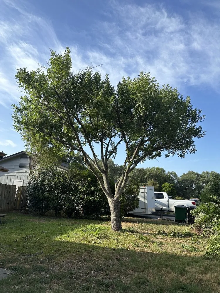 Local yard maintenance experts serving San Antonio, TX - Haystack landscaping