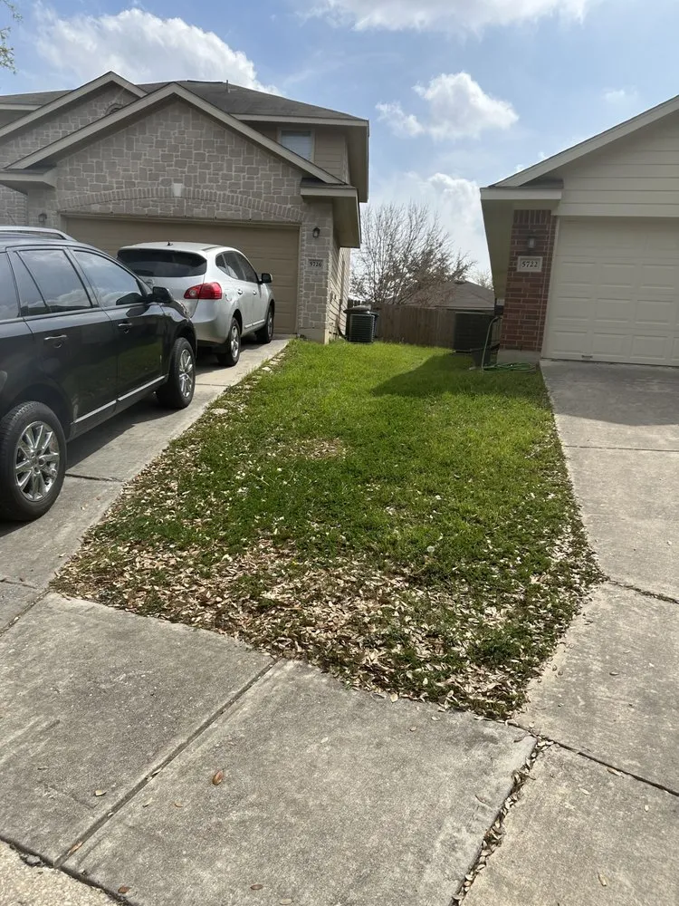 Reliable lawn care service in San Antonio, TX by Haystack landscaping