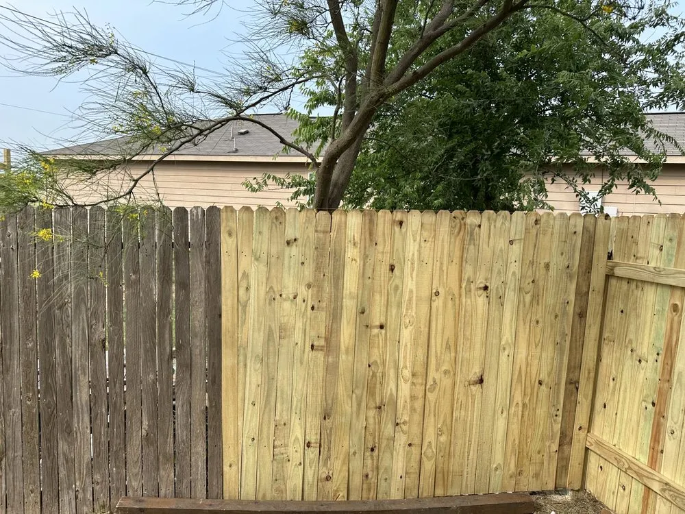 Local yard cleanup service in San Antonio, TX by Haystack landscaping