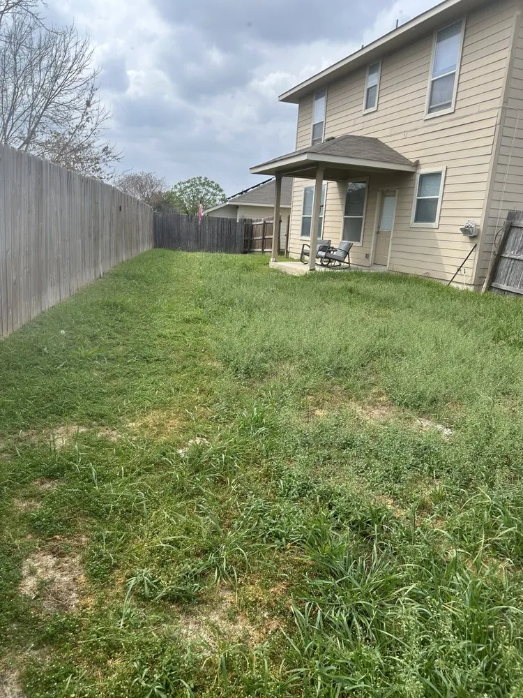 Expert yard maintenance for homes across San Antonio, TX - Haystack landscaping