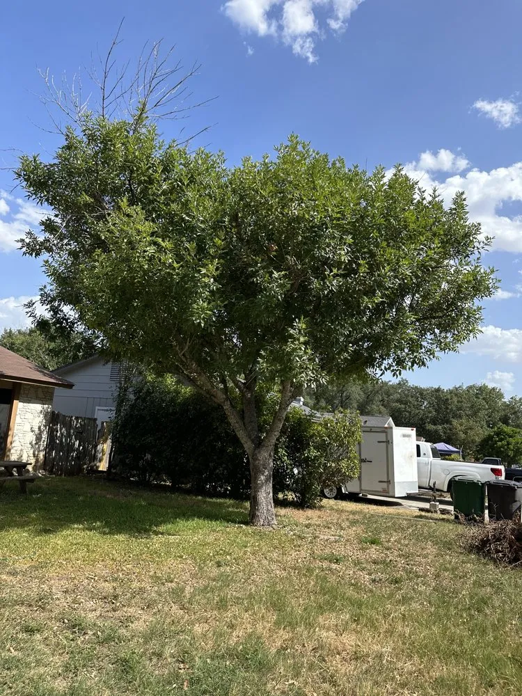 Top-rated landscape installation in San Antonio, TX by Haystack landscaping