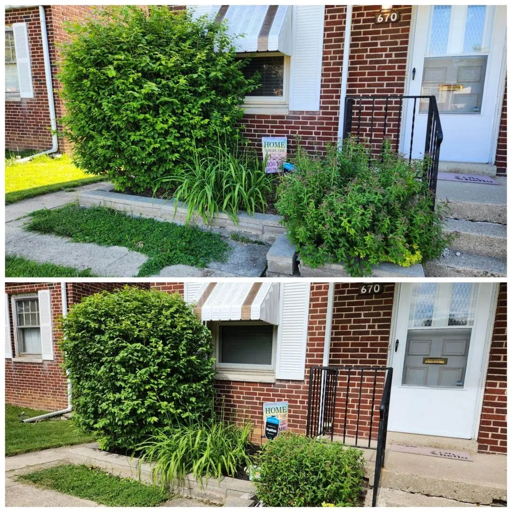 Expert landscaping services experts serving Columbus, OH - Haystax Handyman Services